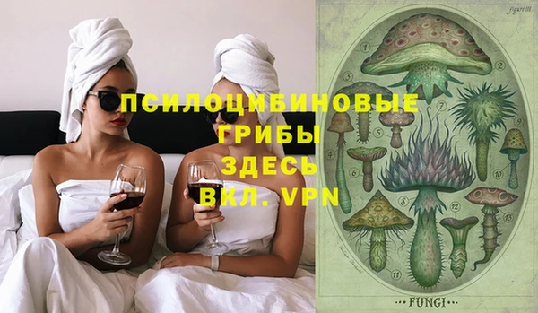 прущие грибы Аркадак
