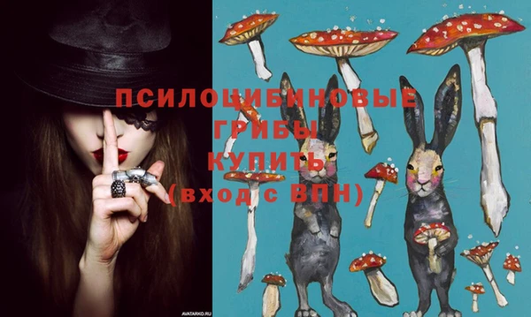 гидра Покров