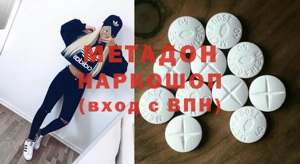 прущие грибы Аркадак