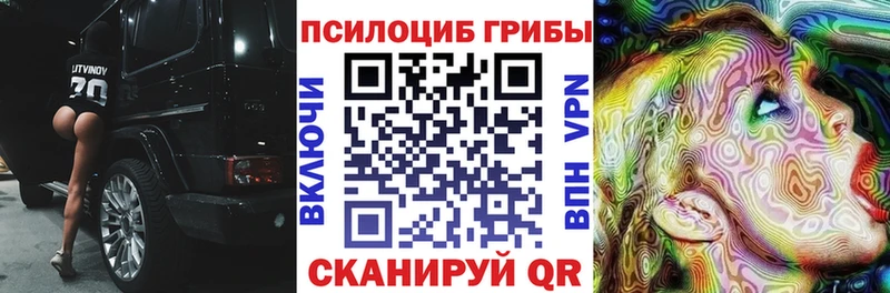 дарк нет какой сайт  Терек  Псилоцибиновые грибы мухоморы 