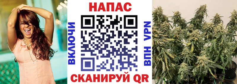 Марихуана OG Kush закладка Терек